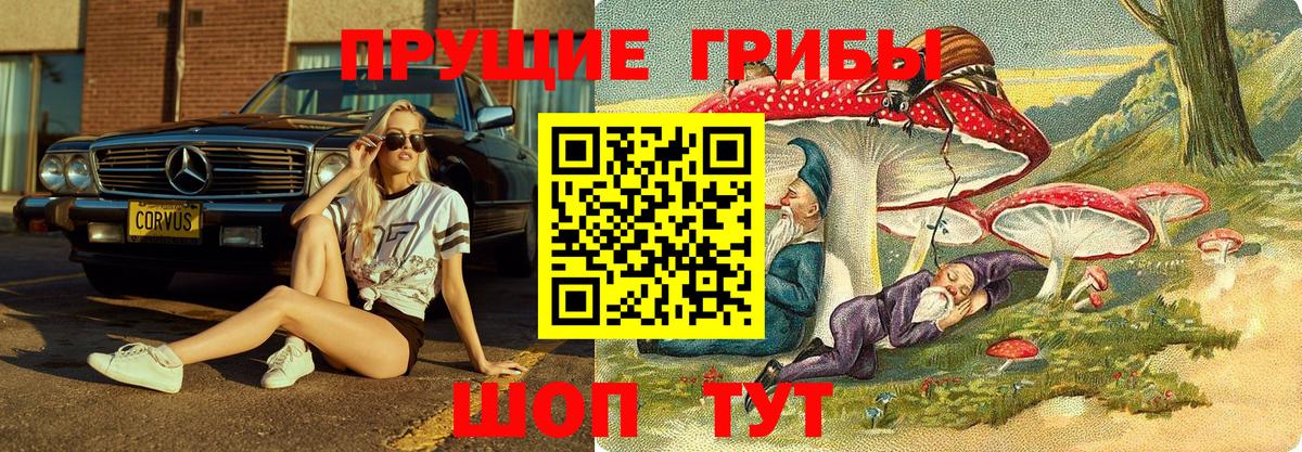 Галлюциногенные грибы ЛСД  Вход с VPN  Санкт-Петербург 